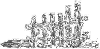 d_skitso11d.gif (17329 bytes)