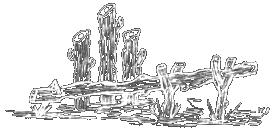 d_skitso12d.gif (9848 bytes)