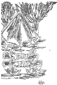 d_skitso5d.gif (18366 bytes)