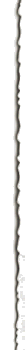 plaisio2-left.gif (3049 bytes)